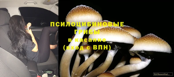 гашик Богородск