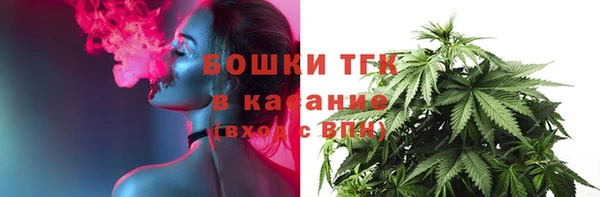 соль ск Богородицк