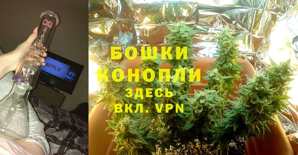 соль ск Богородицк