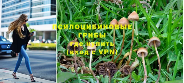 соль ск Богородицк